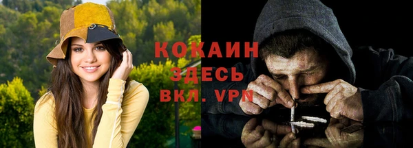 сатива Россошь