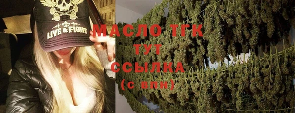 сатива Россошь
