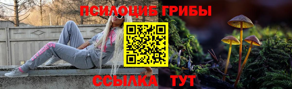 Галлюциногенные грибы MAGIC MUSHROOMS  Псилоцибиновые грибы MAGIC MUSHROOMS  Вход с VPN  Североморск 